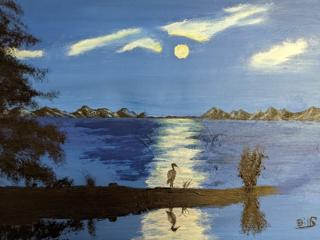 Crane Distortion Puzzle